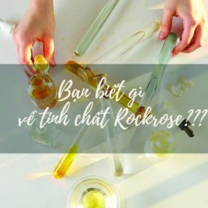 Tinh chất Hoa Hồng Đá